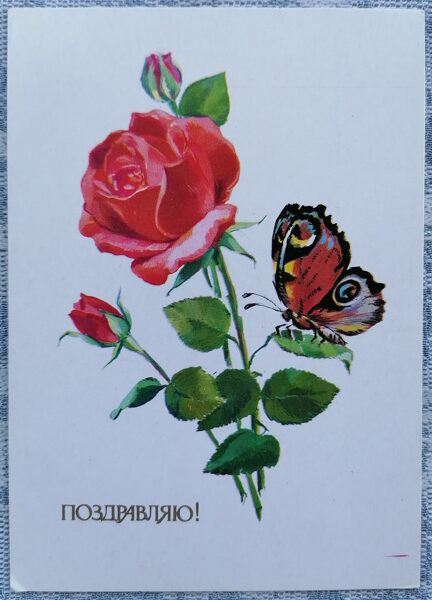 Tauriņš uz sarkanas rozes 1985 PSRS apsveikuma kartīte 10,5x15 cm  