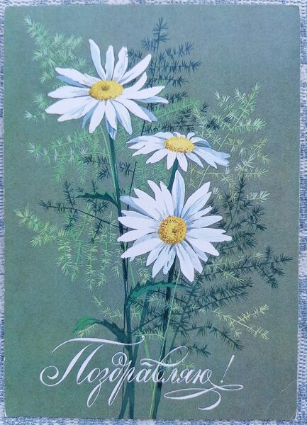 Dārza margrietiņas 1989 PSRS apsveikuma kartīte 10,5x15 cm  