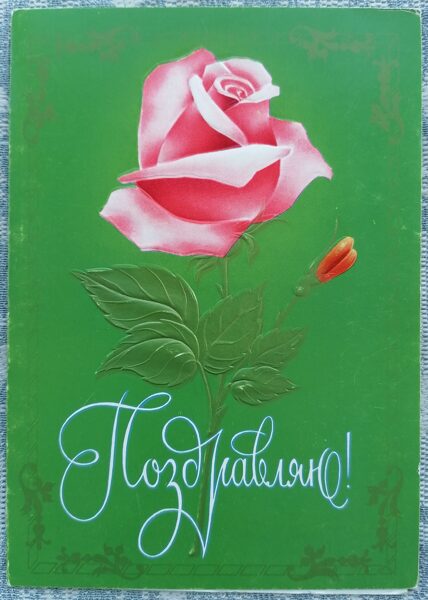 Rozā roze 1978 PSRS apsveikuma kartīte 10,5x15 cm   