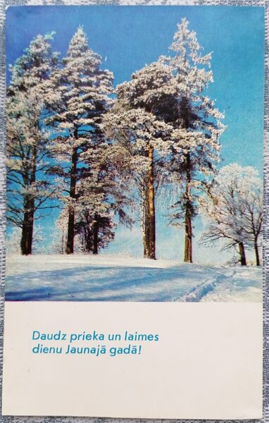 Pines in the Snow 1973 Happy New Year! 9x14 cm Latvian postcard  