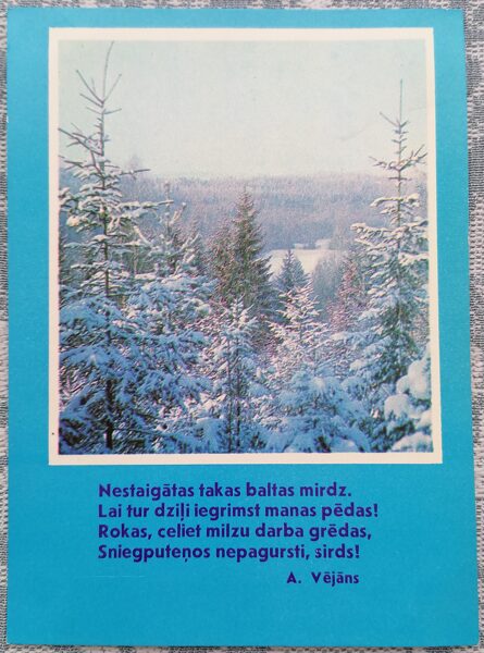 Spruce forest in snow 1974 Happy New Year! 10.5x15 cm Latvian postcard  