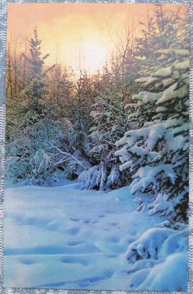 Sun in a snowy forest 1974 Happy New Year! 9x14 cm USSR postcard  