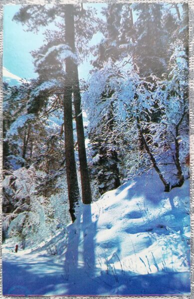Winter Forest 1974 Happy New Year! 9x14 cm USSR postcard  