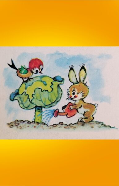 The hare and the bird water the cabbage 1984 Margarita Staraste 11.5x5.5 cm postcard Latvia  