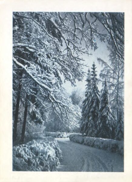 «С Новым годом!» 1982 Зимний лес 10,5x14,5 см Новогодняя открытка Латвия 