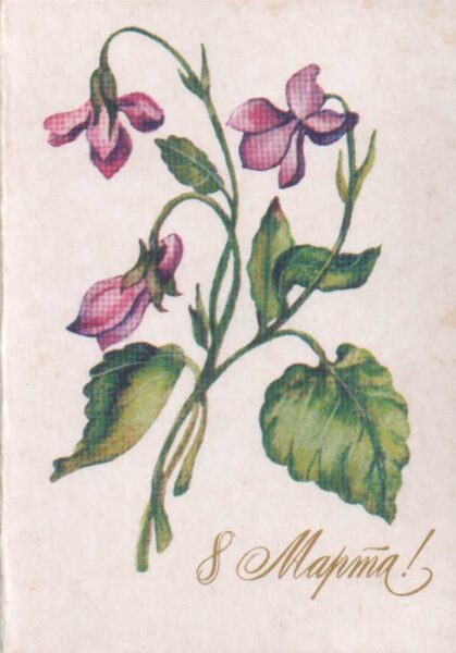 March 8 1984 Flowers 7.5x10.5 cm USSR greeting card   