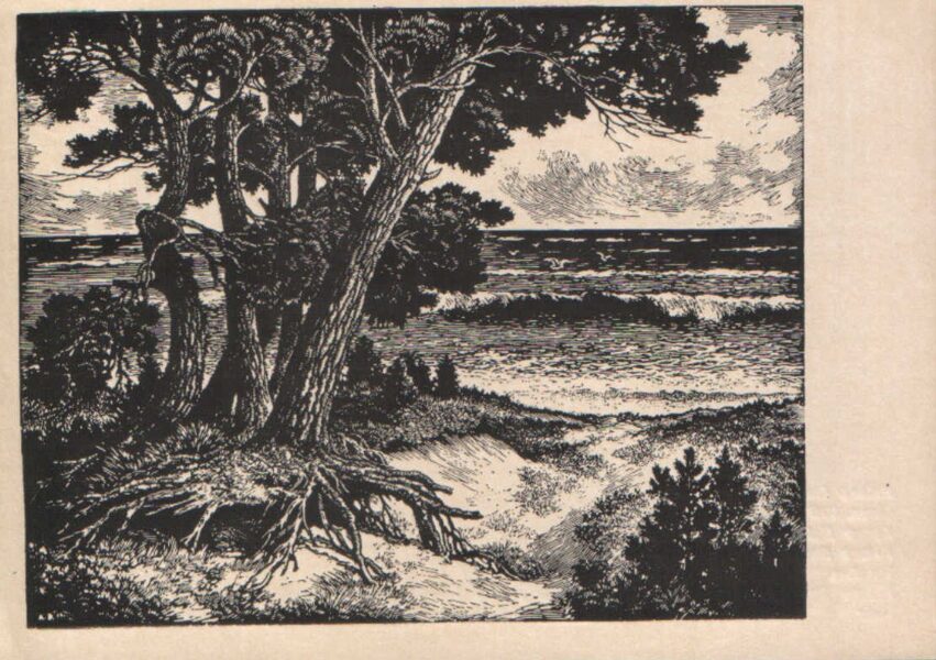 Arturs Duburs "Priedes pie jūras." 1970 mākslas pastkarte 14x10 cm 
