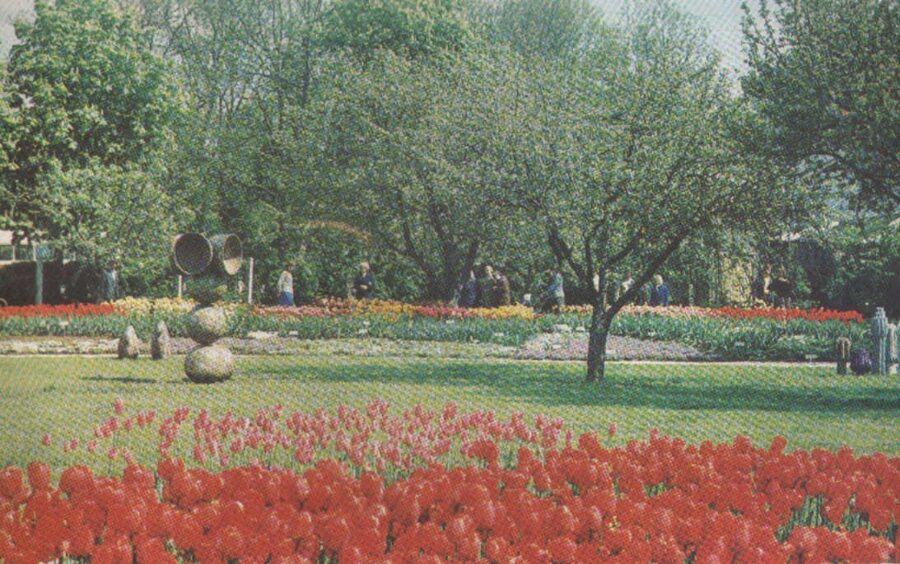 Сигулда 1981 год Латвийская ССР. Выставочный сад Общества садоводства и пчеловодства. 14x9 см.