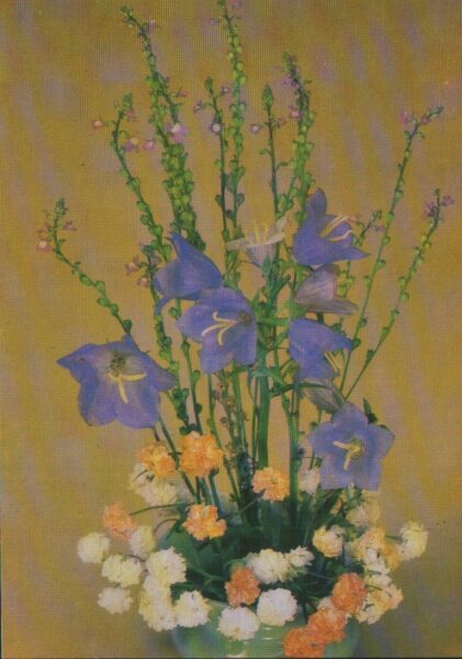 Гвоздики и синие цветы 1983 Планета 10,5x15 см Поздравительная открытка Цветы   