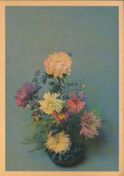 Поздравительная открытка «Цветы» Георгины 1983 года «Планета» 10,5x15 см 
