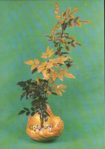Поздравительная открытка Цветы 1983 Планета 10,5x15 см 