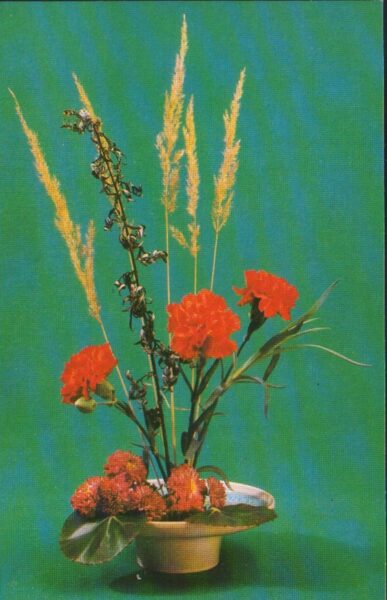 Greeting card "Flowers" Red carnations 1983 "Planet" 9x14 cm 